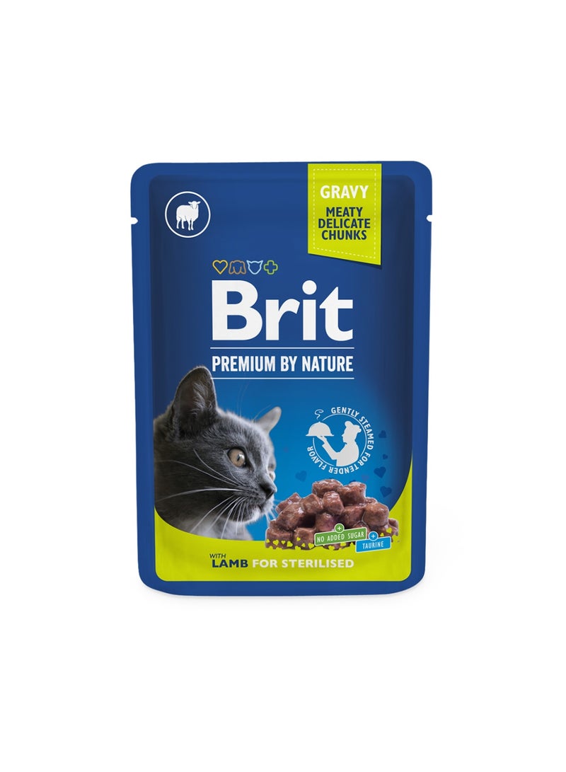 BRIT CAT POUCH 100G LAMB CHUNKS IN GRAVY